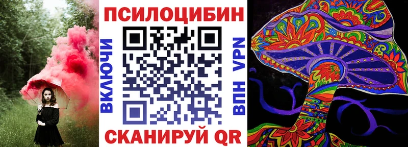 Псилоцибиновые грибы Cubensis  Кувшиново 
